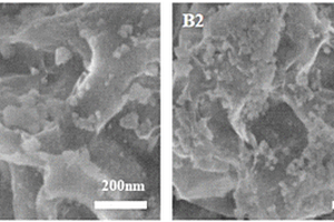 海海綿狀C/Ni(HCO<sub>3</sub>)<sub>2</sub>-Ni復合材料及其制備方法