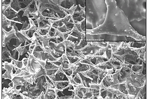 超疏水CMF-TiO<Sub>2</Sub>-PDMS復合材料及其制備方法和應用