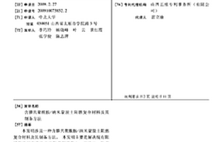 含膦共聚酰胺/納米蒙脫土阻燃復合材料及其制備方法