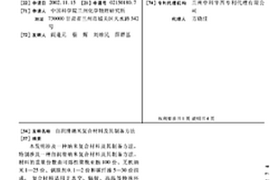 自潤滑納米復合材料及其制備方法