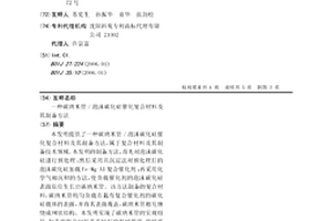 碳納米管/泡沫碳化硅催化復合材料及其制備方法