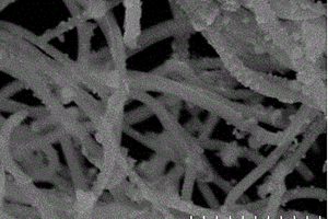 BiFeO<Sub>3</Sub>-MoO<Sub>2</Sub>復合材料及其制備方法和應用