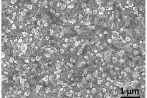 金屬相MoS<sub>2</sub>-CoNi(OH)<sub>2</sub>納米復合材料及其制備方法和應用
