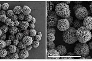 Fe<Sub>3</Sub>O<Sub>4</Sub>/Ni/N-RGO太陽能電池高效電極的復合材料及其制備方法