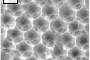 廣譜激發的大孔TiO<sub>2</sub>光催化復合材料及其制備方法