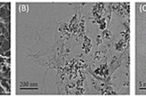 3D-rGO/Fe<sub>3</sub>O<sub>4</sub>-AuNPs/HP-β-CD復合材料的制備方法和應用