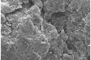 RGO/CNT/HA/Fe<Sub>3</Sub>O<Sub>4</Sub>復合材料的合成方法