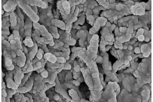 具有核殼結構特征的Ni<sub>6</sub>MnO<sub>8</sub>@碳納米管復合材料及其制備方法和應用