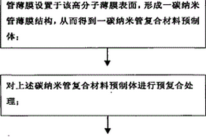 碳納米管復合材料的制備方法