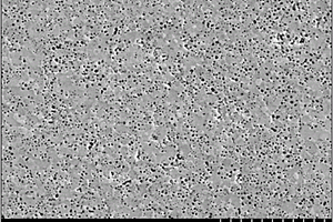 Mo-ZrB2-SiC-AlN復合材料及其制備方法