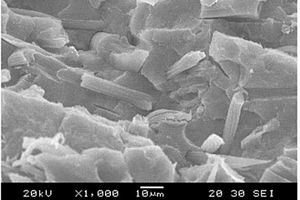 添加ZnO-SiO<sub>2</sub>的HDPE/FF抗菌復合材料及其制備方法