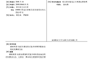 碳納米管/水泥自增強阻尼復合材料的制備及阻尼比測試方法