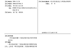 非晶態的碳/二氧化硅納米復合材料的制備方法