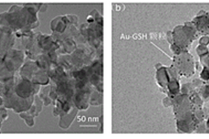 Au-GSH@TiO<Sub>2</Sub>@PDMS復合材料及其制備方法和應用