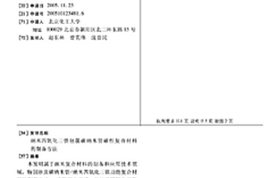 納米四氧化三鐵包覆碳納米管磁性復合材料的制備方法