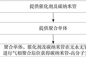 碳納米管-高分子復合材料的氣相聚合生產方法及裝置