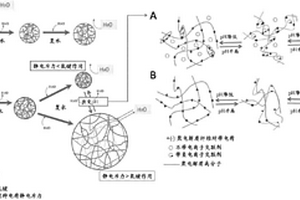 具有環境響應細菌納米纖維素復合材料及其制備方法和應用
