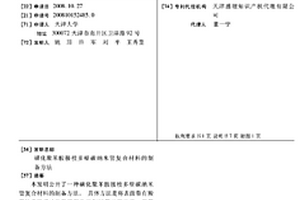 磺化聚苯胺接枝多壁碳納米管復合材料的制備方法