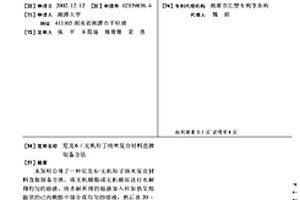 尼龍6/無機粒子納米復合材料直接制備方法