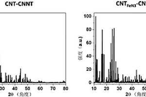 碳/碳氮(C<sub>x</sub>N<sub>y</sub>)復合納米管復合材料及其制備方法及應用