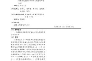 碳基納米澆鑄尼龍復合材料及其原位聚合制備方法