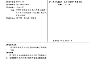 用于聚合物復合材料的無機組合粒子的制備方法