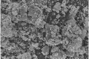層狀雙氫氧化物負載生物炭復合材料的制備方法