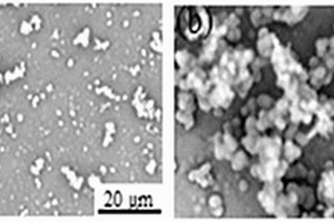 高強高生物活性可降解鋅基復合材料及其制備方法