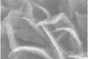 具有異質結結構的碳納米纖維、二硫化錫、二氧化錫和硫復合材料的制備方法及應用