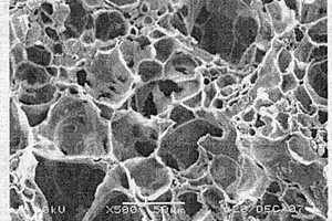 生物形貌碳化硅與分子篩復合材料的制備方法