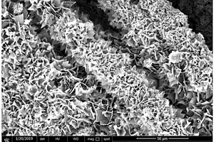3R-MoS<sub>2</sub>/碳布復合材料的制備方法及其應用