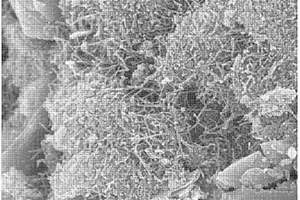 碳納米管-氧化鋁復合增強鎂基復合材料的制備方法