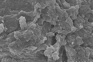 一鍋法制備UIO-66-NH<sub>2</sub>/功能性單體復合材料的方法及其在吸附抗生素中的應用
