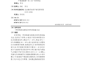 納米碳電極復合材料的制備方法