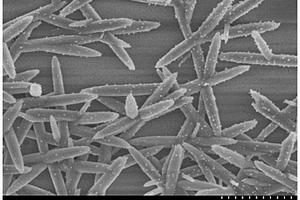 納米二氧化鈦-CuInSe<Sub>2</Sub>復合材料及其制備方法