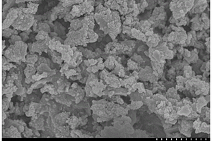 MIL-100(Fe/Co)衍生磁性復合材料催化降解水中氯霉素的方法及應用
