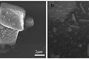 CuO/g-C<Sub>3</Sub>N<Sub>4</Sub>復合材料的制備方法