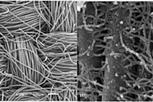 石墨烯诱导生成聚吡咯纳米线导电复合材料制备方法