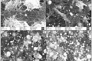 Ag-MnO<Sub>2</Sub>納米線復合材料及其制備方法與在檢測胸腺嘧啶含量中的應用