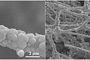 MoS<sub>2</sub>納米片/碳海綿復合材料及其制備方法及應用