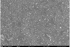 磁性石墨烯复合材料及其制备方法和应用