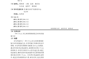C/Fe3O4多孔納米珊瑚球復合材料的制備方法
