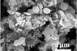 氮磷共摻雜生物碳/錳化合物復合材料的制備方法