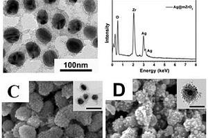 光催化-SERS双功能复合材料及其制备方法与应用