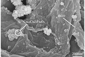 RGO/Co<Sub>x</Sub>Cu<Sub>1-x</Sub>Fe<Sub>2</Sub>O<Sub>4</Sub>復合材料及其制備方法和應用
