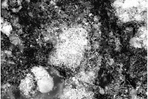 FeS/Fe0复合材料及其制备方法和应用