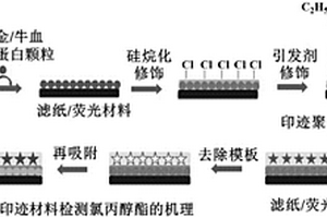 识别氯丙醇酯的纸基荧光印迹复合材料及其制备方法