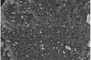 具有多级孔结构的钒氧化物与碳复合材料及其制备方法