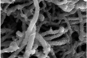 各向异性导电环氧树脂复合材料的制备方法