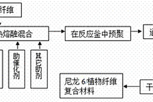 尼龙6/植物纤维复合材料及其制备方法